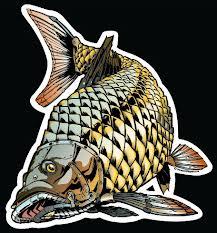 Interesant III :) - ifccmages.jpeg